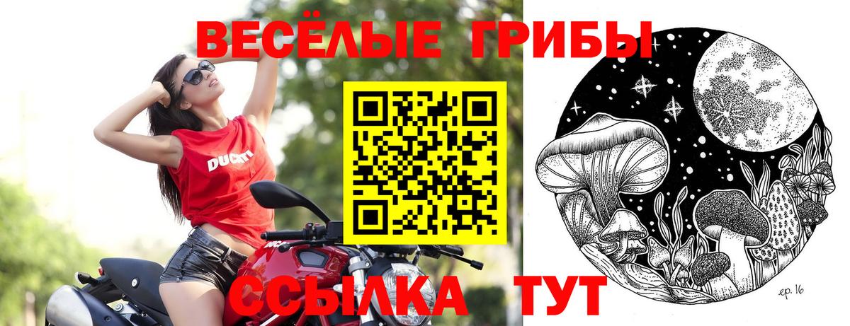Галлюциногенные грибы прущие грибы Сарапул