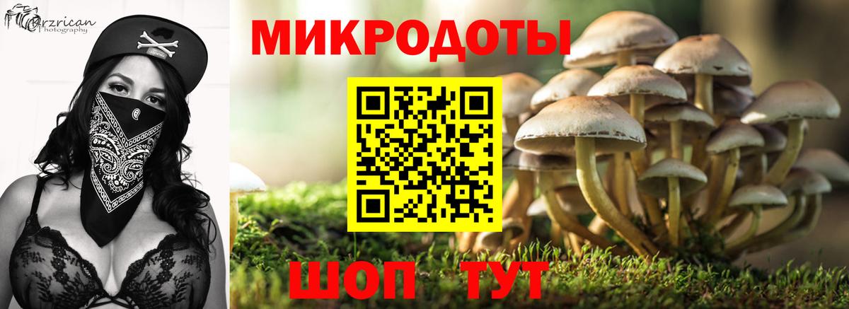 Сарапул  Галлюциногенные грибы мицелий  Вход с VPN  Галлюциногенные грибы Psilocybine cubensis 